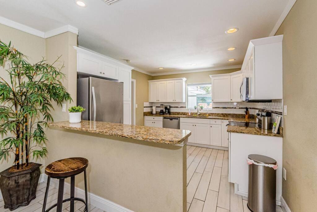 فيلا تامبافي Beautiful Pool House In Old Seminole Heights! المظهر الخارجي الصورة